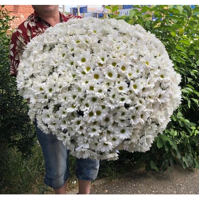 Букет с хризантемами &laquo;Белое облако&raquo; 