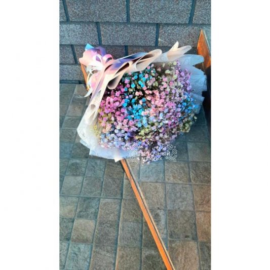 Разноцветные сны