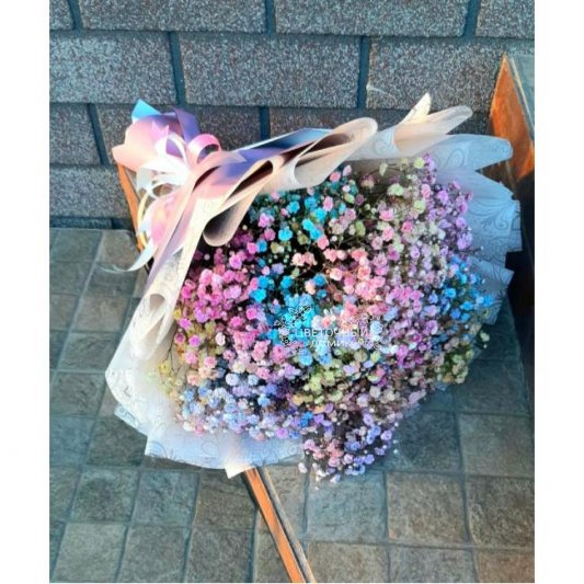 Разноцветные сны