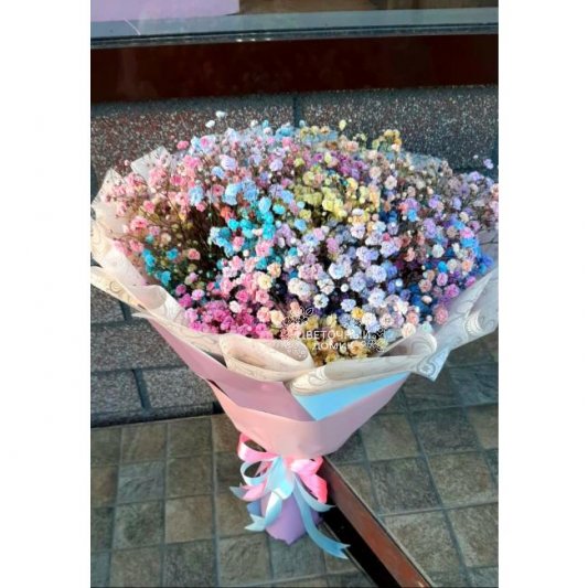 Разноцветные сны