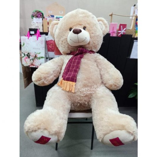 Царь Михаил