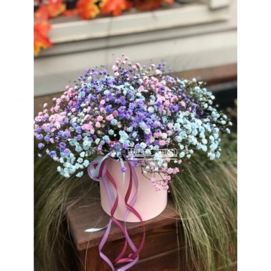 Композиция из гипсофилы
