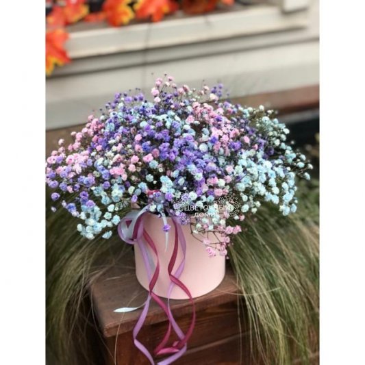 Композиция из гипсофилы