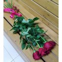 Букет из красных роз &laquo;Свидание&raquo;
