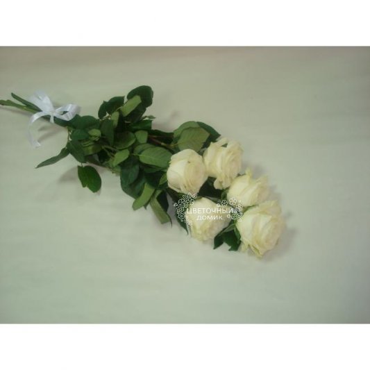 Букет белых роз &laquo;С нежностью&raquo;