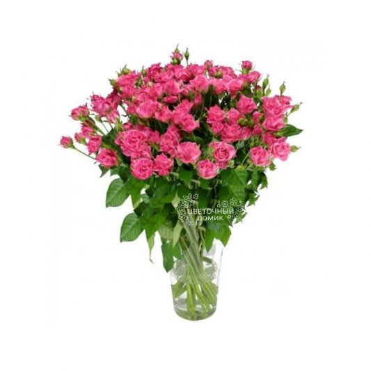 Теплые объятия