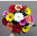 Букет с герберами &laquo;Герберы микс&raquo;