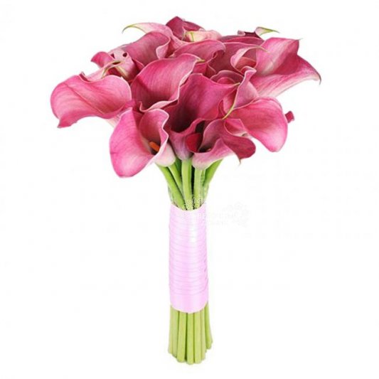 Неприкосновенность