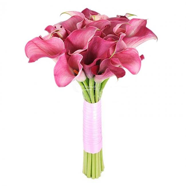 Неприкосновенность 