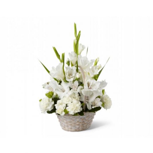 Первая зима