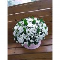 Композиция &laquo;Семейное счастье&raquo;