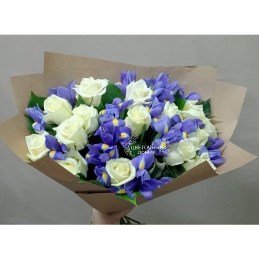 Синеглазка