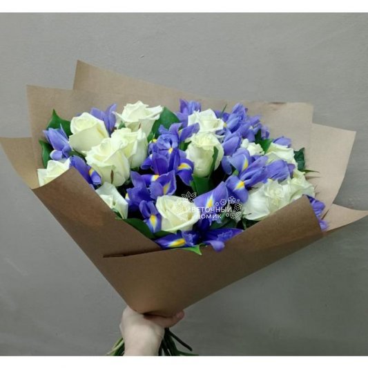 Синеглазка